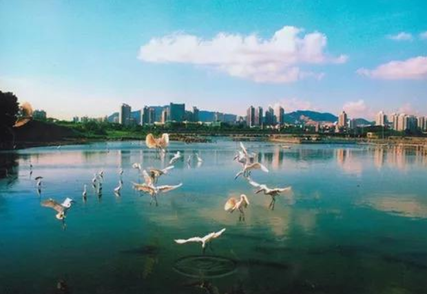 人民日?qǐng)?bào)：環(huán)境有價(jià)，損害必須擔(dān)責(zé)